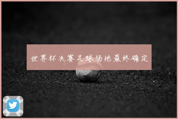 世界杯决赛足球场地最终确定